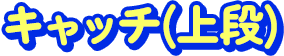 名前(上段)