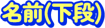 名前(下段)